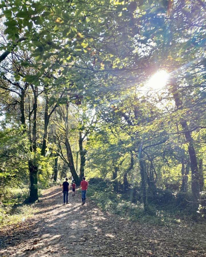 The Kingswood 호텔 세인트오스틀 외부 사진