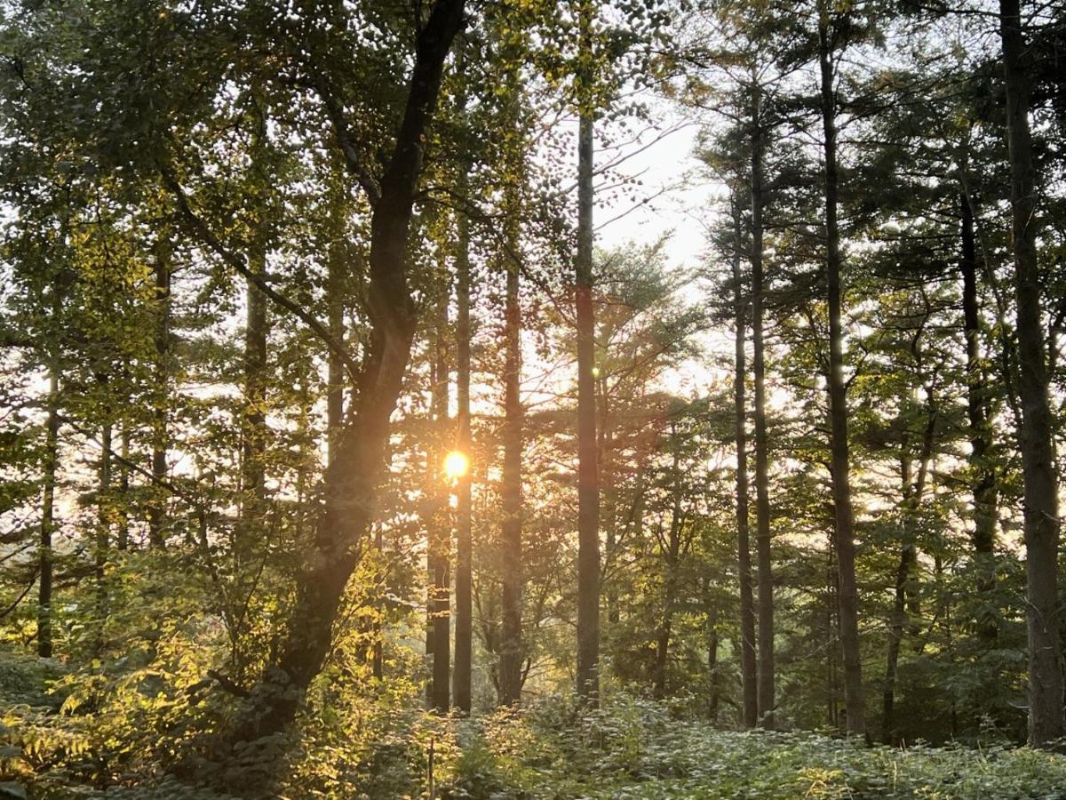 The Kingswood 호텔 세인트오스틀 외부 사진
